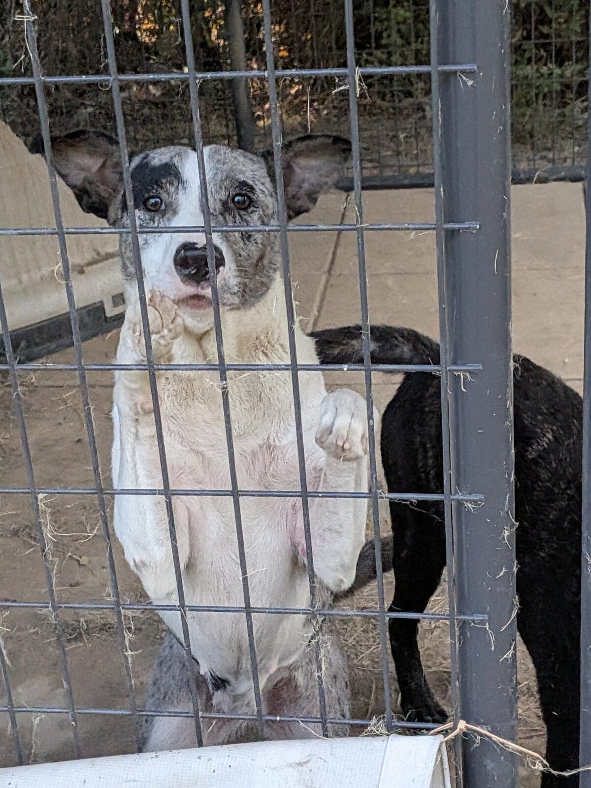 PXL_20260706_123543300